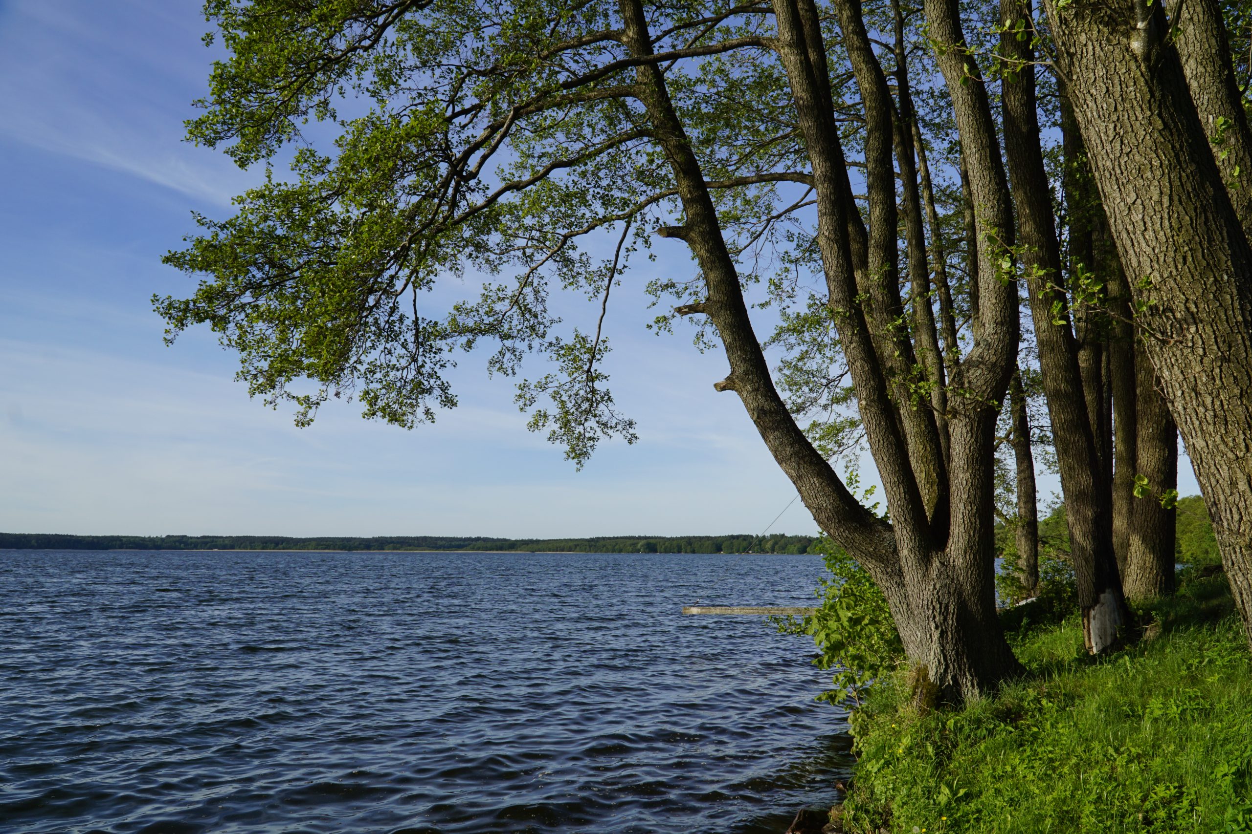 Lake shore - Masuria, Poland